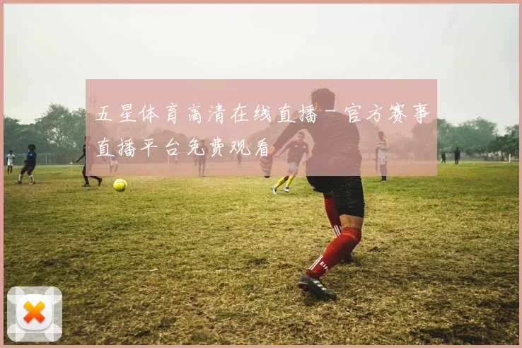 五星体育高清在线直播 - 官方赛事直播平台免费观看