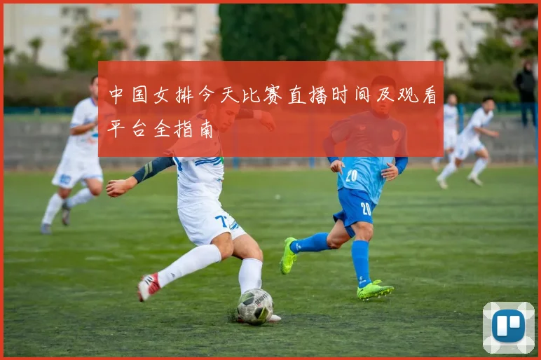 中国女排今天比赛直播时间及观看平台全指南