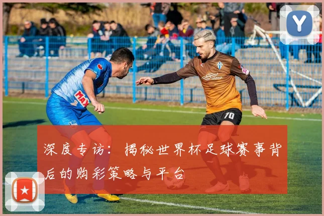 深度专访：揭秘世界杯足球赛事背后的购彩策略与平台