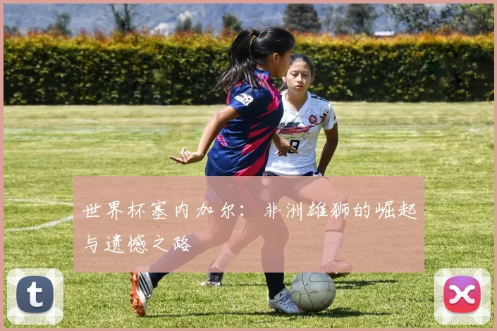 世界杯塞内加尔：非洲雄狮的崛起与遗憾之路