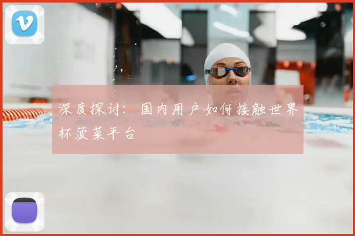 深度探讨:国内用户如何接触世界杯菠菜平台