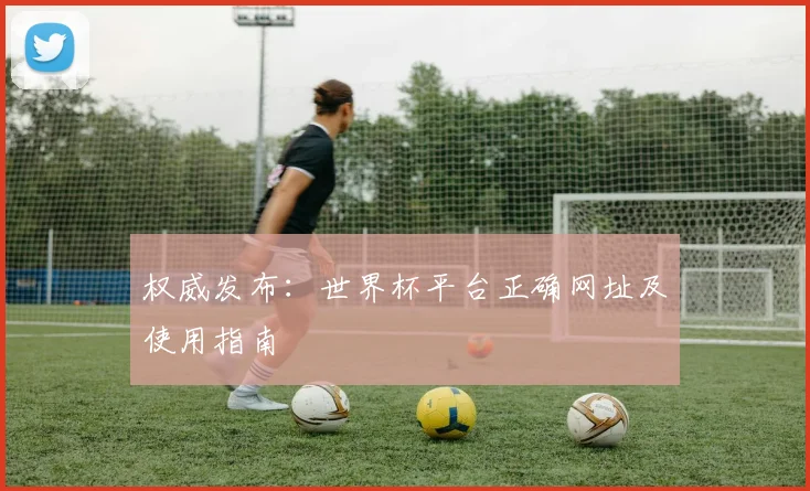 权威发布：世界杯平台正确网址及使用指南