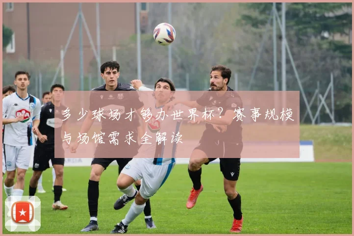 多少球场才够办世界杯？赛事规模与场馆需求全解读