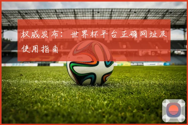 权威发布：世界杯平台正确网址及使用指南