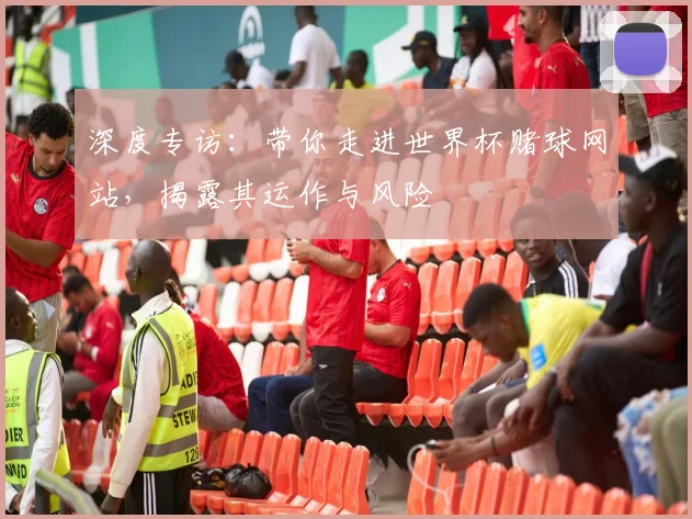 深度专访：带你走进世界杯赌球网站，揭露其运作与风险