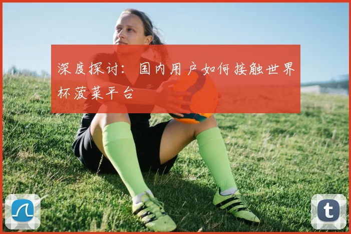 深度探讨：国内用户如何接触世界杯菠菜平台