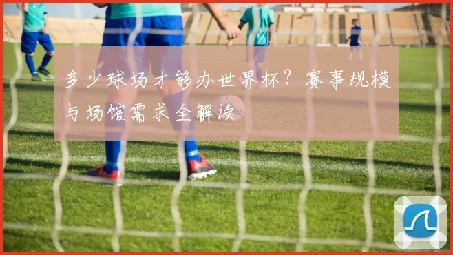 多少球场才够办世界杯？赛事规模与场馆需求全解读