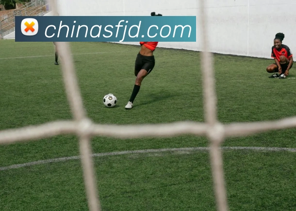 体育直播服务